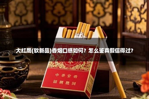 大红鹰(软新品)香烟口感如何?怎么鉴真假信得过?