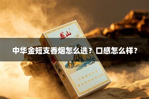 中华金短支香烟怎么选?口感怎么样?